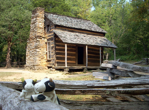 cabin