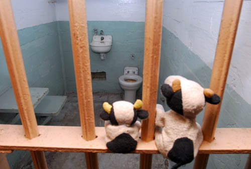 prison cell